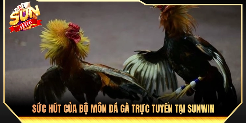Điểm Danh Các Thể Đá Gà Phổ Biến Nhất Thị Trường 2 Sức hấp dẫn từ sảnh chọi gà online trên nền tảng Sunwin