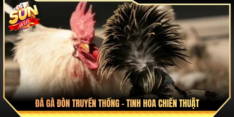Điểm Danh Các Thể Đá Gà Phổ Biến Nhất Thị Trường 3 Gà đòn truyền thống - Các thể đá gà phổ biến nhất
