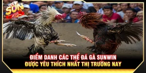 Điểm Danh Các Thể Đá Gà Phổ Biến Nhất Thị Trường